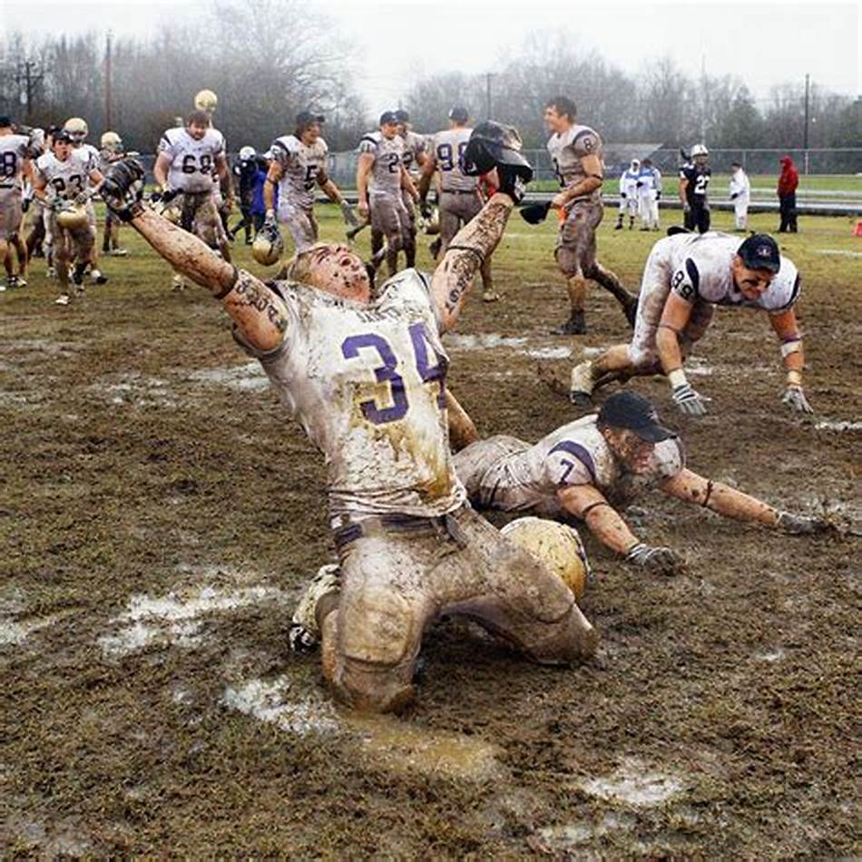 张雨霏在蝶 张雨霏在蝶