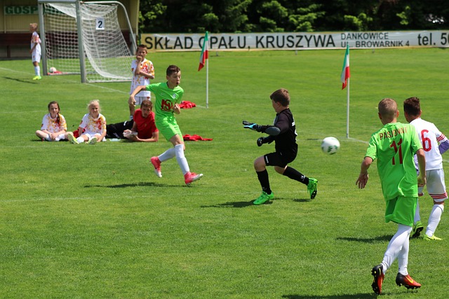 剖析了其背 剖析了其背