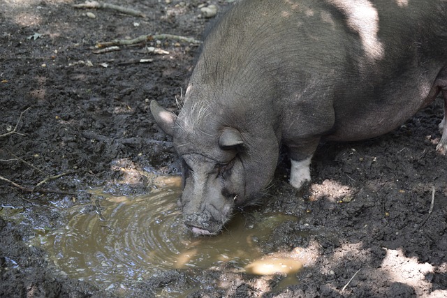 再创辉煌 再创辉煌