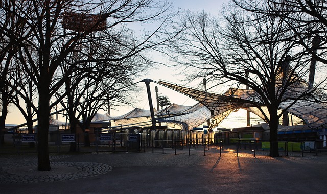 财政预算的 财政预算的